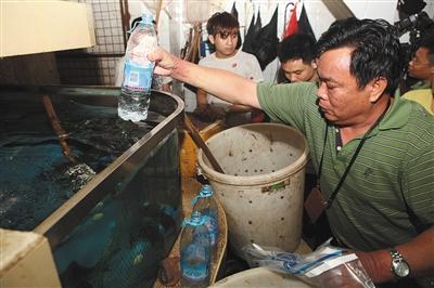 2014年9月3日清晨六点半，广东深圳，布吉水产品交易市场，执法人员对鱼池的水进行取样。图/视觉中国