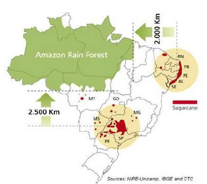 数据来源:UNICA 南华期货研究所