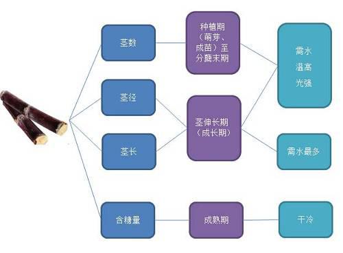 数据来源:公开资料 南华期货研究所