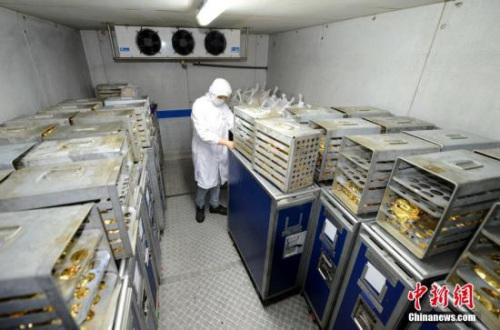 资料图:预计距离飞机快降落时,工作人员开始将食物装入送餐车,进入停机坪等待舱门打开,将飞机餐送入机舱中。图为还没有配送出去的食物都放在冷藏室。 王东明 摄