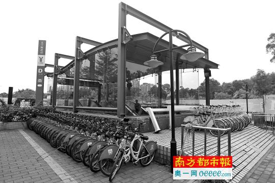     1月12日，广州大学城北地铁站附近，不少公共单车就堆放在地铁站出口外，无人问津。