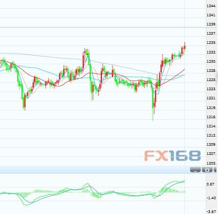 黄金不惧美国加息预期 一迹象或为大涨埋下伏