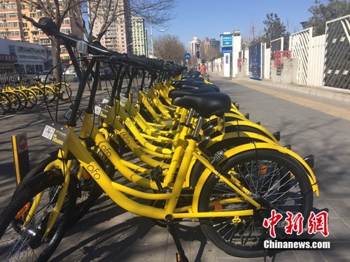 北京朝阳公园附近，共享单车投放数量惊人。中新网吴涛 摄