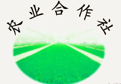网络图