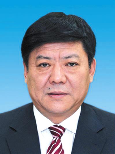天津市武清区委书记,天津市委常委,滨海新区区委书记,天津市委常委