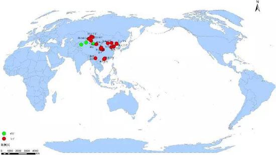 紫金矿业全球业务（矿山）分布