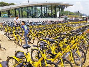 　共享单车迅猛发展，深圳某地铁口的空地全部被单车占领。 CFP供图
