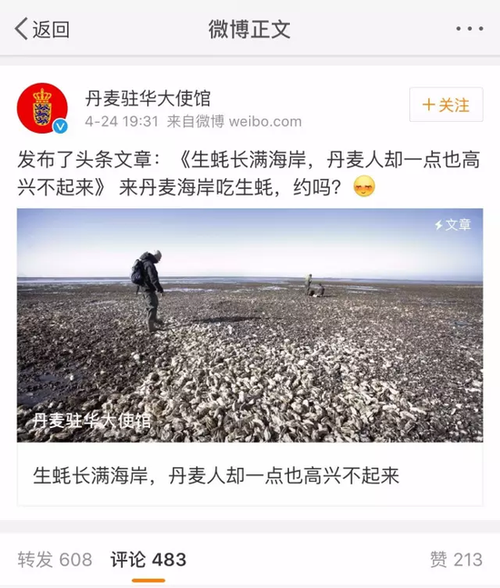 丹麦生蚝泛滥后真有中国吃货去吃了