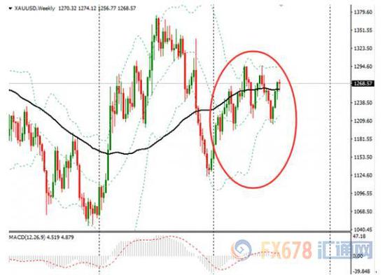 图：现货金价周线图年内走势