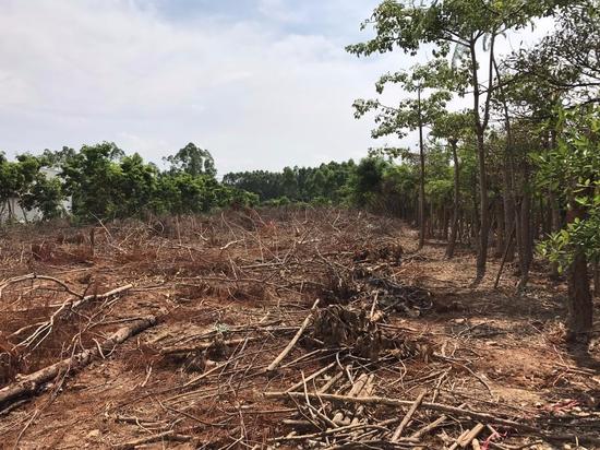 中毅达连续两年财务造假 面临退市风险|中毅达