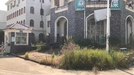 ▲共青城赛龙公司门口杂草丛生 每经记者于垚峰 摄