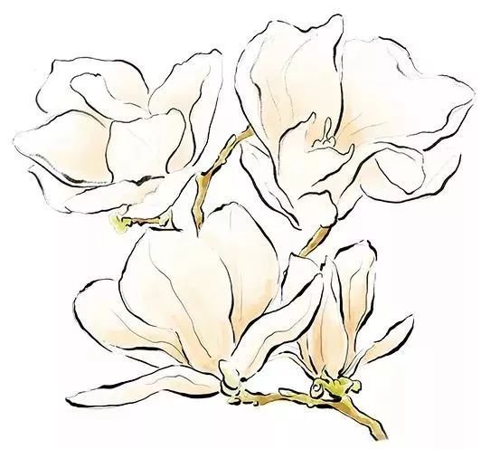 陈吉宁今天会见美国摩根大通集团董事长兼首席执行官杰米·戴蒙