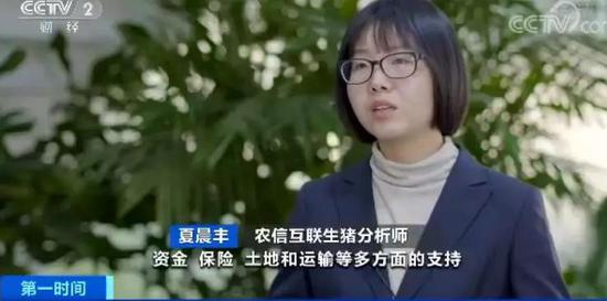 钱柜娱乐手机版首页 - 陈冰:止暴制乱 恢复秩序仍是香港当前最重要任务