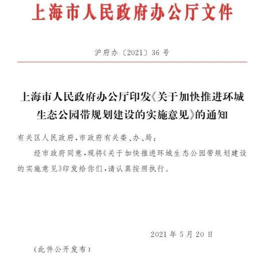 上海本地股爆发、一大波注册地在浦东的公司涨停 “炒地图”底气在哪?