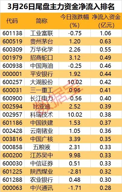 高位题材股退潮，主力大手笔抛售