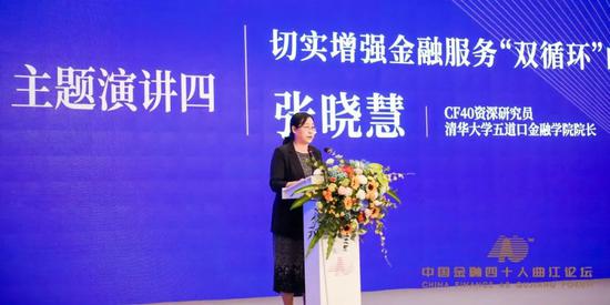 陈元蔡鄂生黄奇帆李若谷张晓慧共论“双循环” 收入分配是焦点