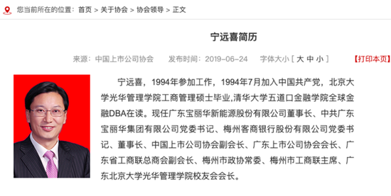 宝新能源前董事长因职务侵占一审被判9年半,曾是中国上市公司协会副会长