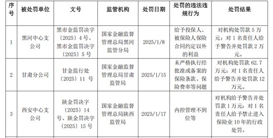 图源:大地财险2025年一季度偿付能力报告