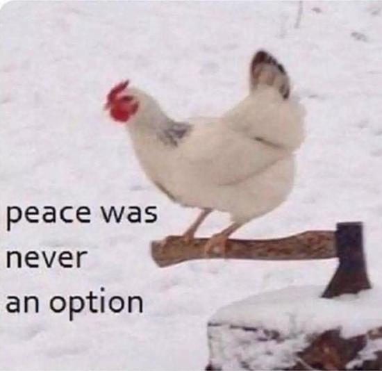 打开这个网址,出现的就只有上面这张图片。“peace was never an option”