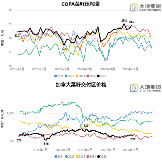 油脂：阶段性驻底与价差机会
