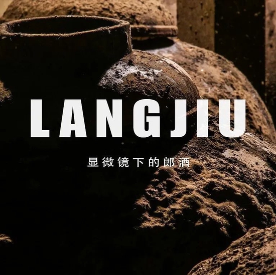 长江商学院创办院长项兵及李海涛傅成玉等学院大咖启幕长江2023理事大会，汪俊林等200+商业领袖齐聚