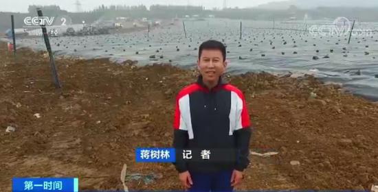 拉菲ll总代|澳酒店操控点评被罚300万 好评多而差评少见