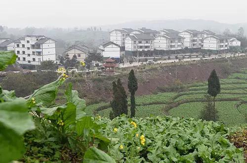黑彩平台哪种的靠谱-浑水沽空“一周四弹” 安踏股价不跌反涨