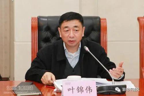 皖通科技老总_皖事通安康码图片