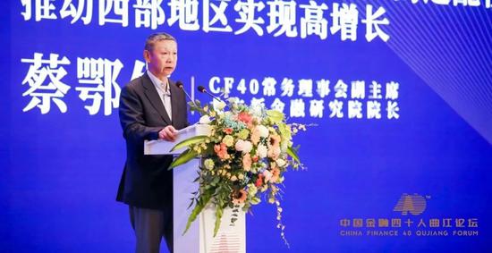 陈元蔡鄂生黄奇帆李若谷张晓慧共论“双循环” 收入分配是焦点