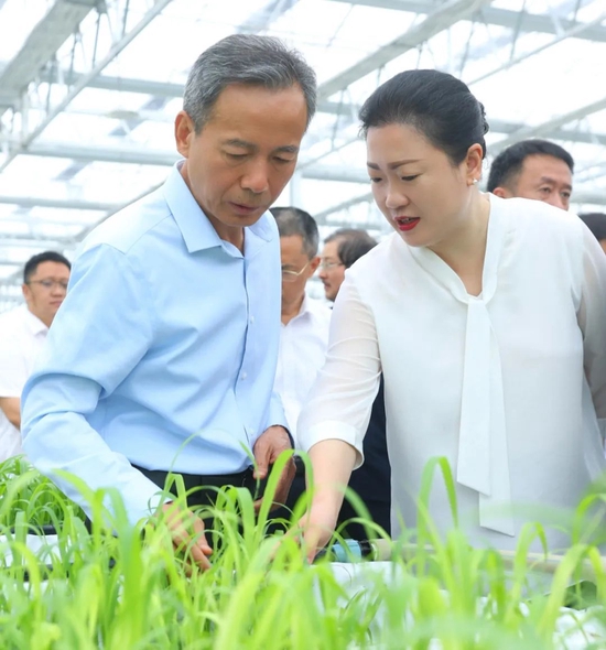 守护“五诀”之首,五粮液以“和美种植”赋能“大国浓香”