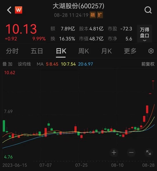 批量涨停！A股，飙上热搜！