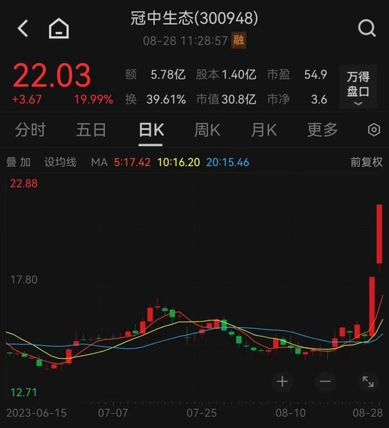 批量涨停！A股，飙上热搜！