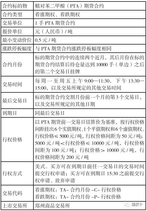 PTA期权合约细则