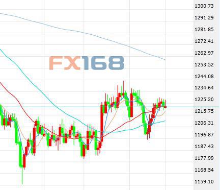 (现货黄金日线图 来源:FX168财经网)