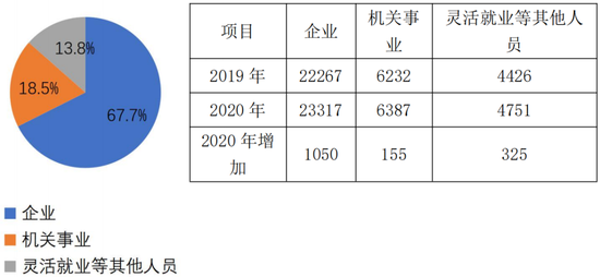 2020年全国人口参保率_2020年全国人口统计图