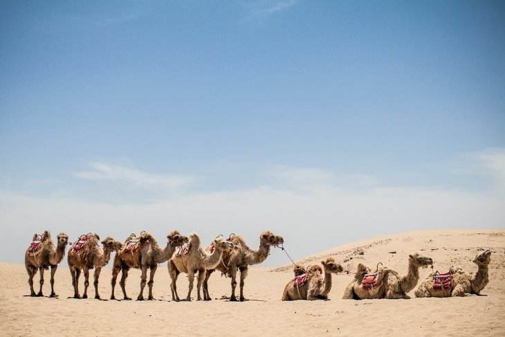 聚焦西域旅游IPO 历经15年3次停摆