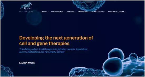 图片来源:野马生物官网