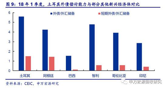 2.4政府部门外债过高？对土耳其来说或许不是主要因素