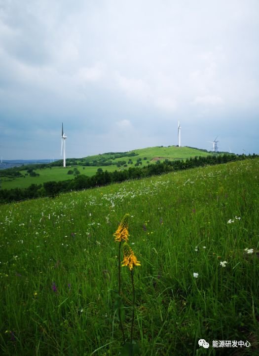 油价连续二日收涨，延续区间波动