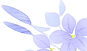 茅台亮相2023年第34届“世界女王”选美大赛德国决赛