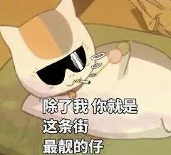 澳门传奇娱乐·学做揪面片,虽然揪得难看点,但是家里人都喜欢,要求隔天做一回