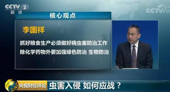 “妖蛾子”入侵 可致农作物绝收!如何应战?