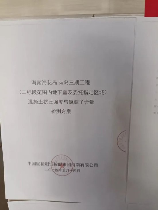第二次检测方案。受访者供图