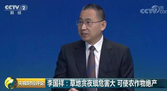 “妖蛾子”入侵 可致农作物绝收!如何应战?