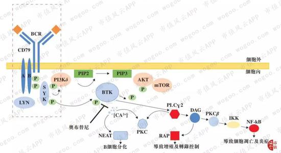 现金博彩导航-国产图迈™机器人完成首例前列腺癌根治术临床研究