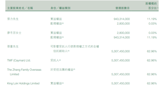 ▲力量发展股东结构,截图自其2024年中期报告