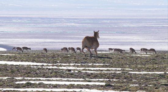 “杭州六小龙”之一，拿到新融资