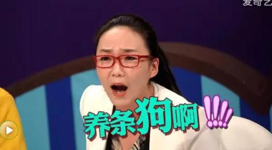 奇葩说的中年危机:用户处在了青黄不接的位置上