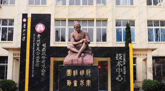 贵州百灵:应收金钱高企遭问询 现在也蹭上工业大麻