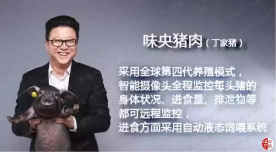 香港赌船2016,中国内线退步最大的双子星组合,周琦王哲林组合